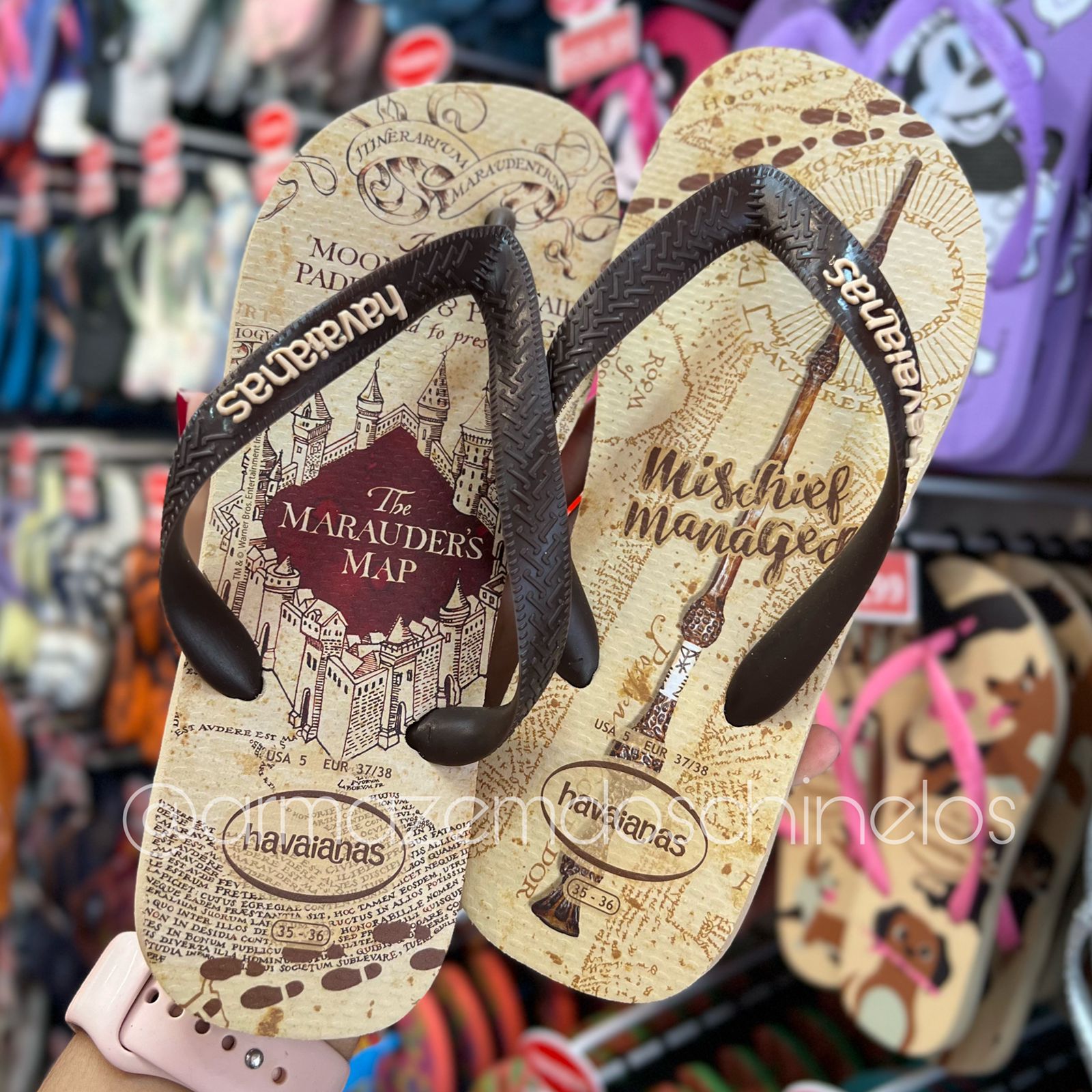 Chinelo havaianas harry potter 2024 feminino